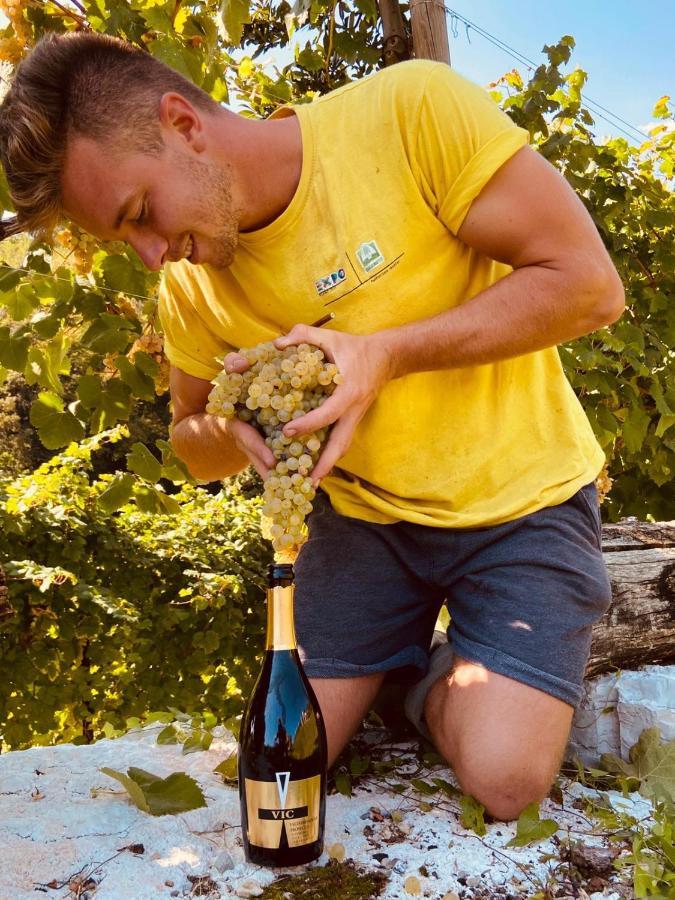 Agriturismo Al Credazzo ファッラ・ディ・ソリーゴ エクステリア 写真