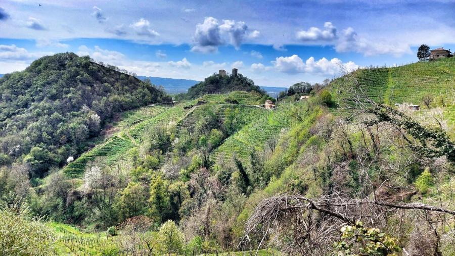 Agriturismo Al Credazzo ファッラ・ディ・ソリーゴ エクステリア 写真