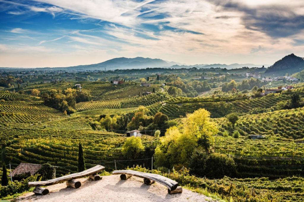 Agriturismo Al Credazzo ファッラ・ディ・ソリーゴ エクステリア 写真
