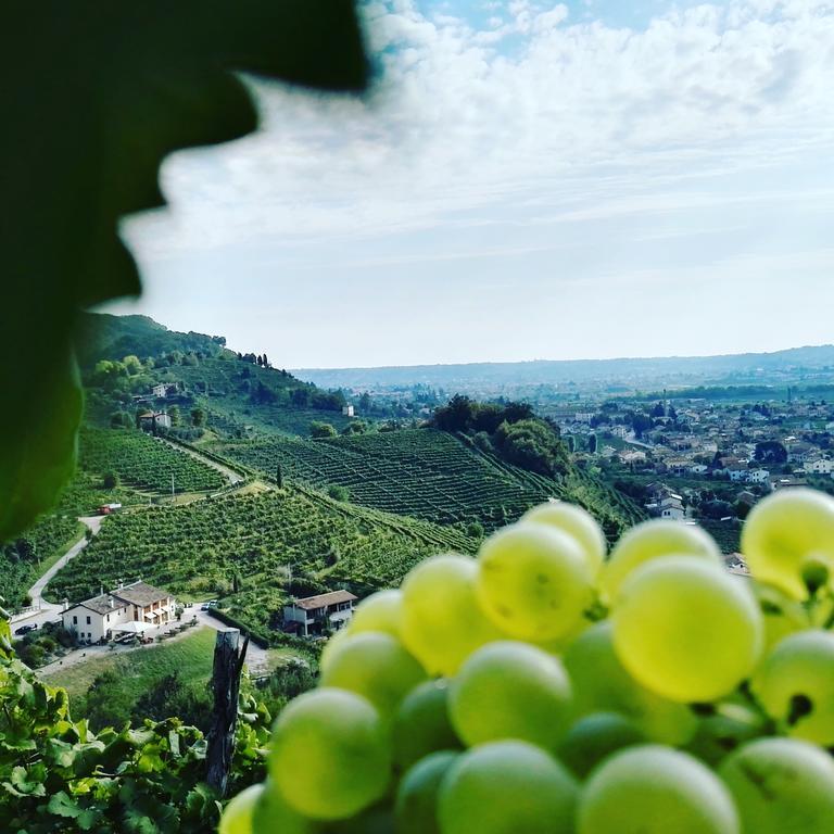 Agriturismo Al Credazzo ファッラ・ディ・ソリーゴ エクステリア 写真